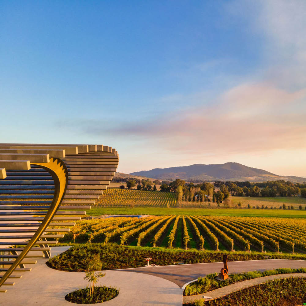 Winemaking and Cellar Door Tasting Experience Levantine Hill